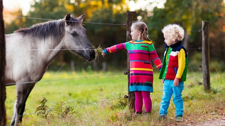Things to do with kids in the hunter valley