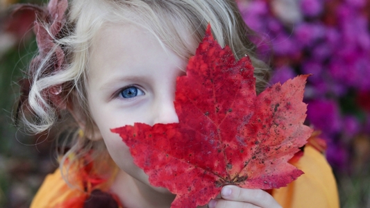 Autumn colours sydney kids
