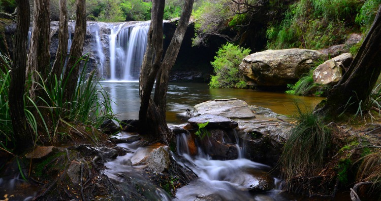 Nellies Glen, Budderoo National Park