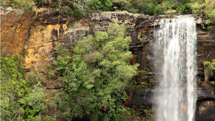 Fitzroy Falls