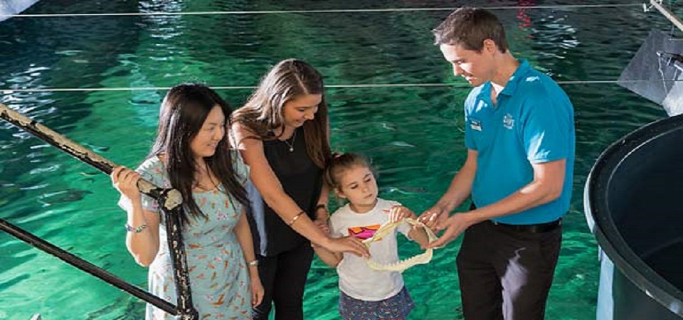 the best attractions at WILD LIFE and SEA LIFE_easter activities for kids 7
