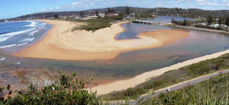 narrabeen lagoon