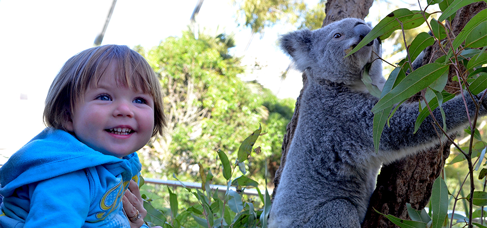Animal Encounters at WILD LIFE Sydney Zoo