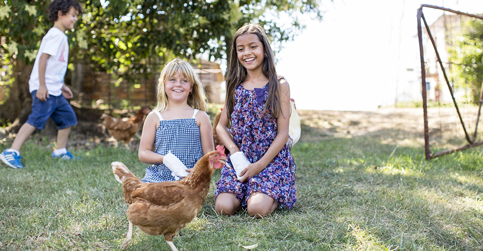 Earn Your Tucker Kids School Holiday Workshop Rouse Hill House & Farm