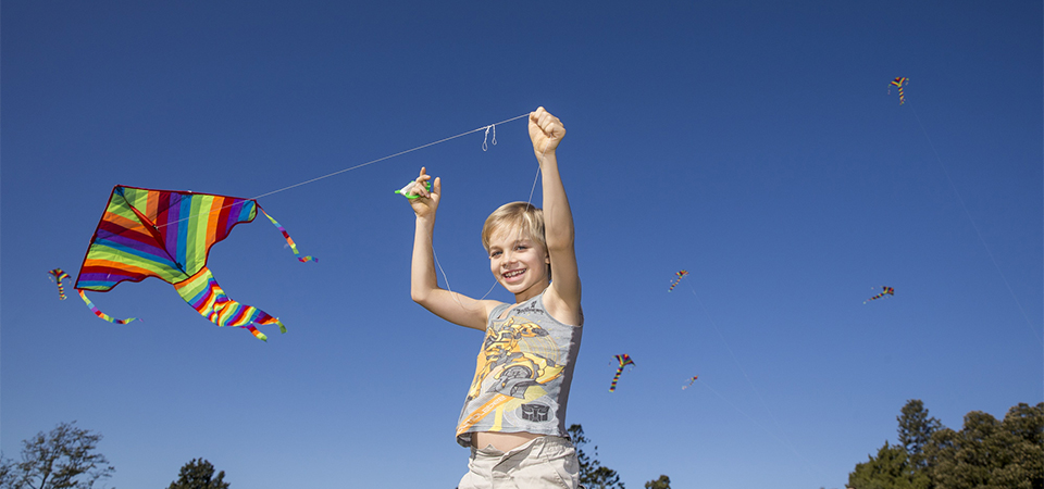 Kite Flying at Rouse Hill House & Farm 