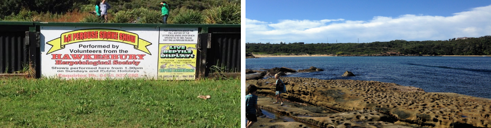 La Perouse Snake Show_1