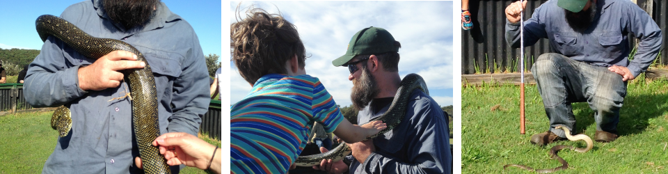 La Perouse Snake Show 4