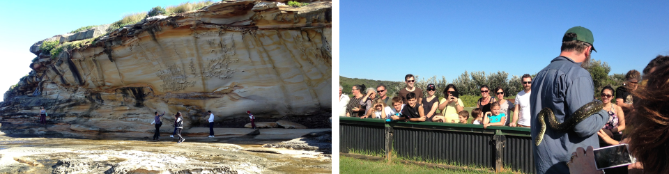 La Perouse Snake Show 5