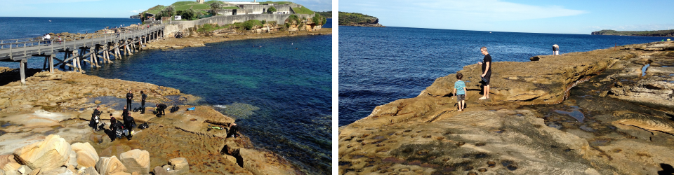 La Perouse Snake Show 6