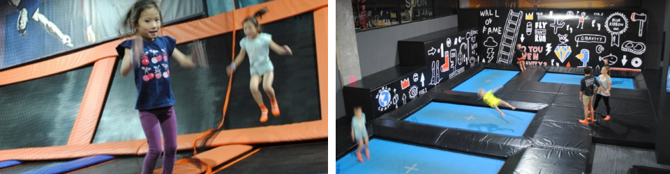 Skyzone 2