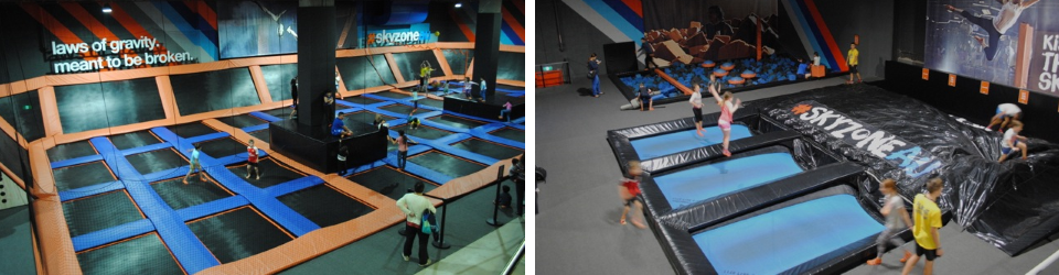 Skyzone 3