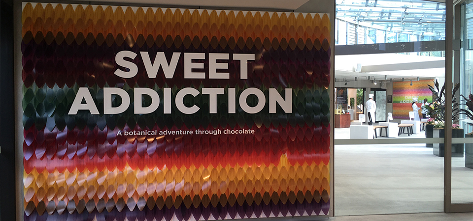 sweet addiction the calyx royal botanic garden entrance