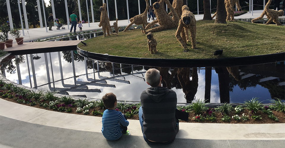 Taking in the views of the Calyx, Royal Botanic Garden Sydney