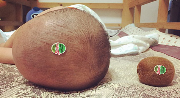 kiwi head