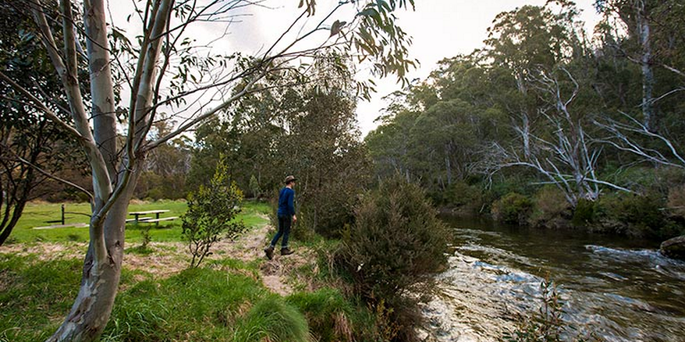 best camping spots in nsw_ngarigo campground