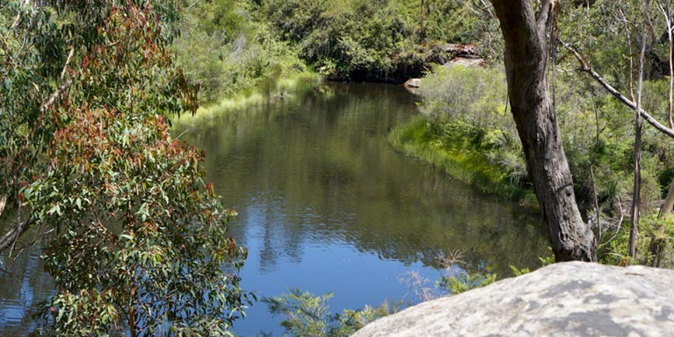 best camping spots in nsw_ingar reserve