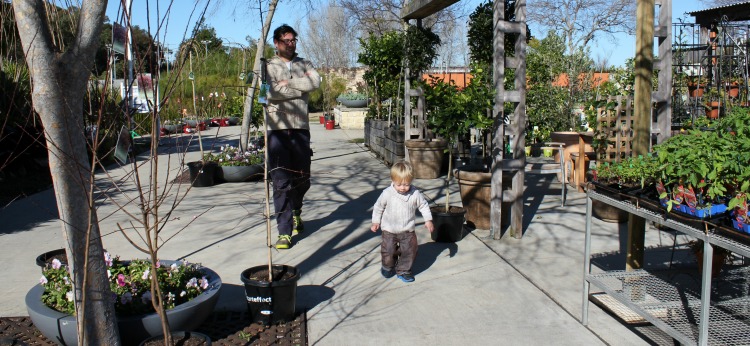 exploring the gardens