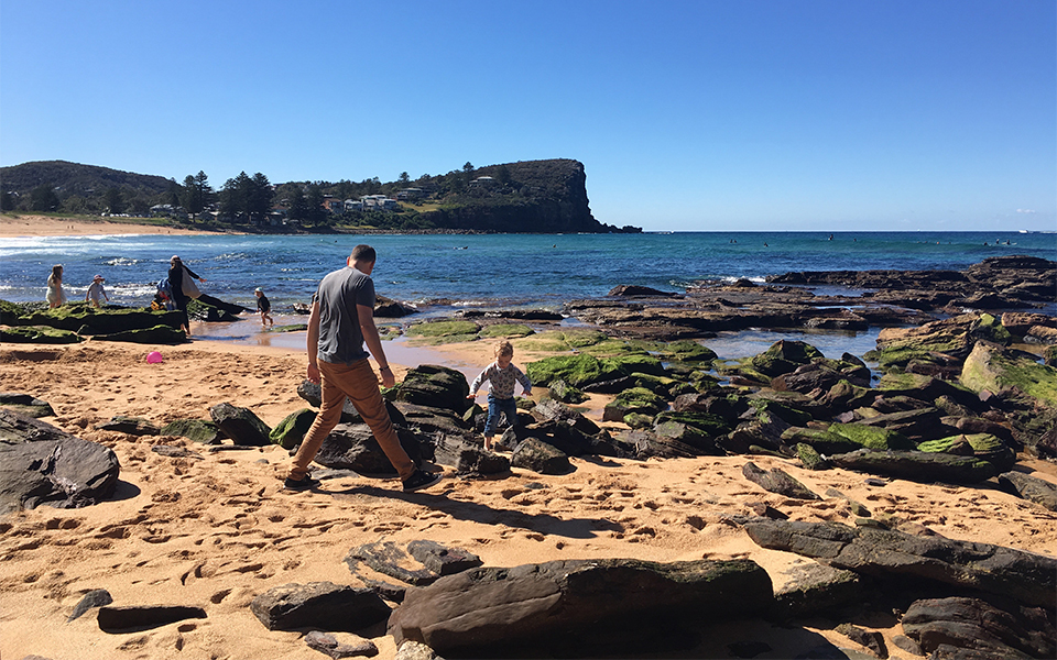 Avalon Beach - Rockpooling 960x600