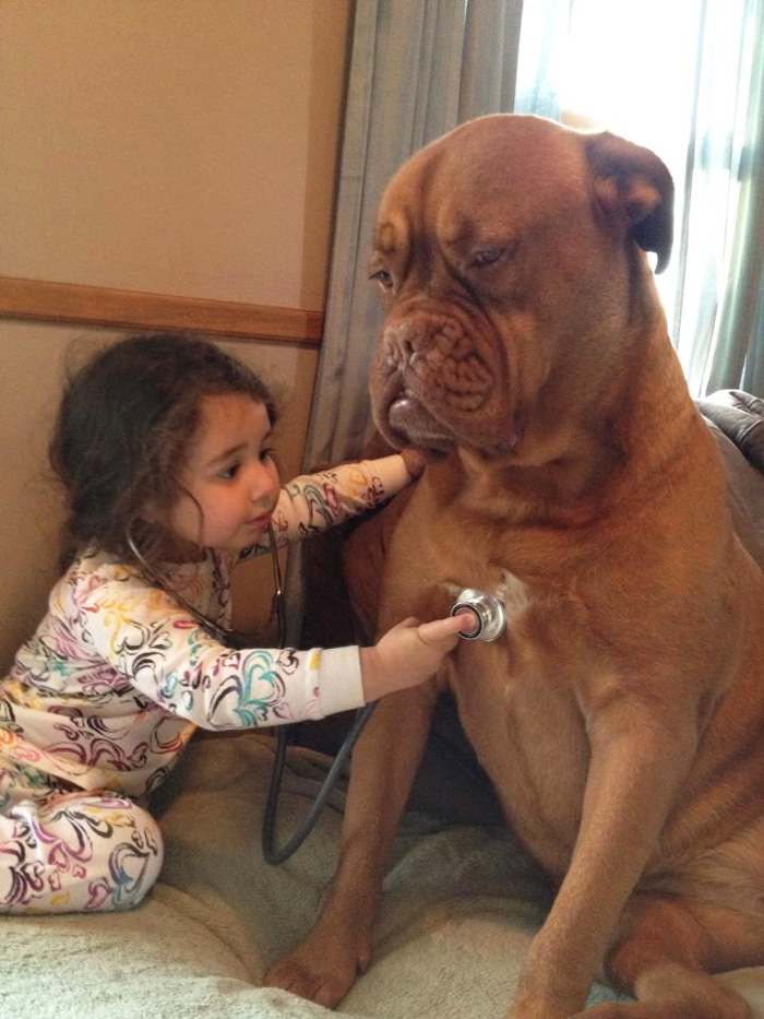 nurse dog