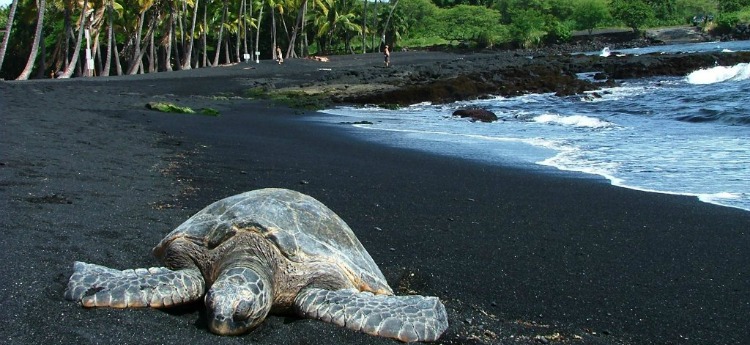 black sand