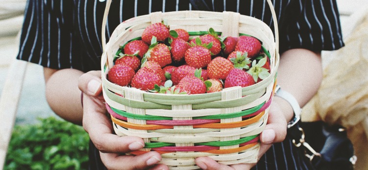 Basket of strawberries