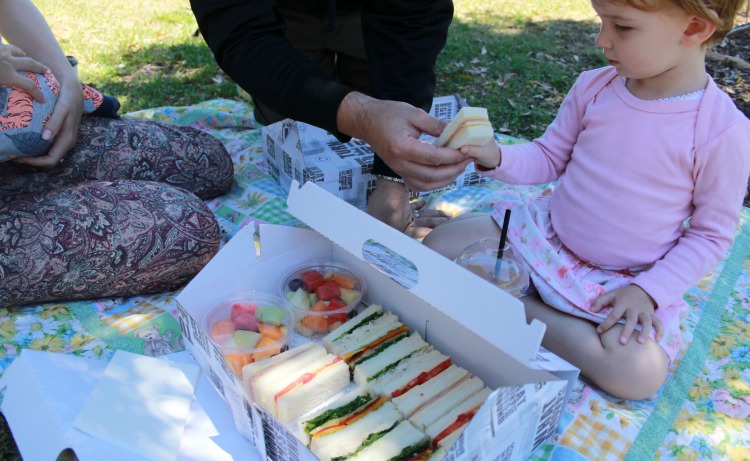 centennial homestead picnic