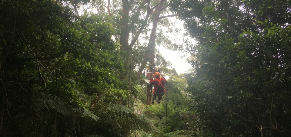 sydney ziplining