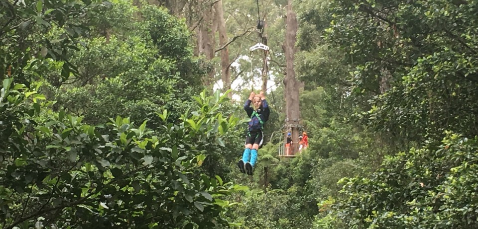 zipline kids