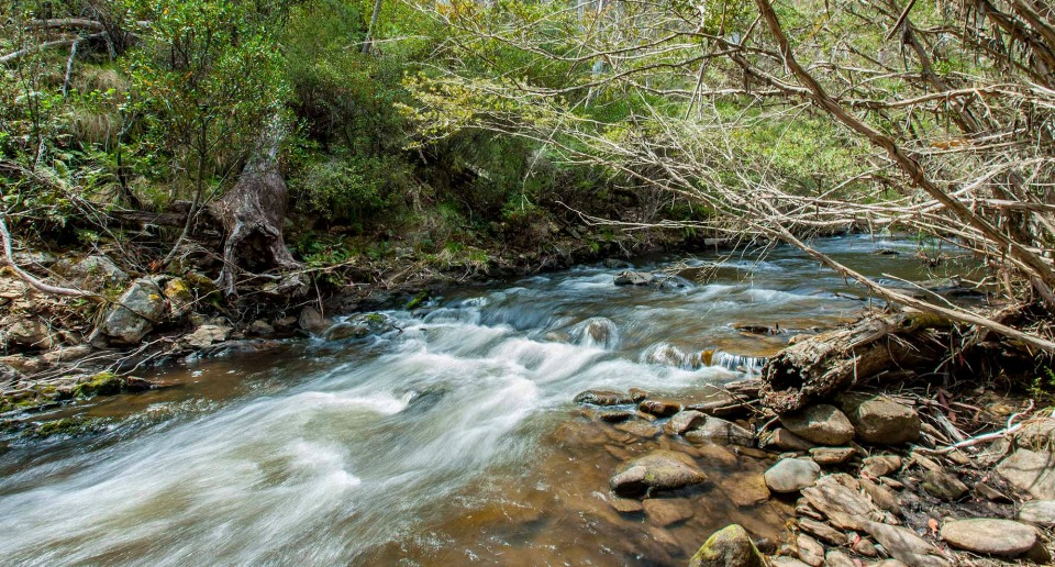 Buddong Falls campground, Kosciuszko National Park