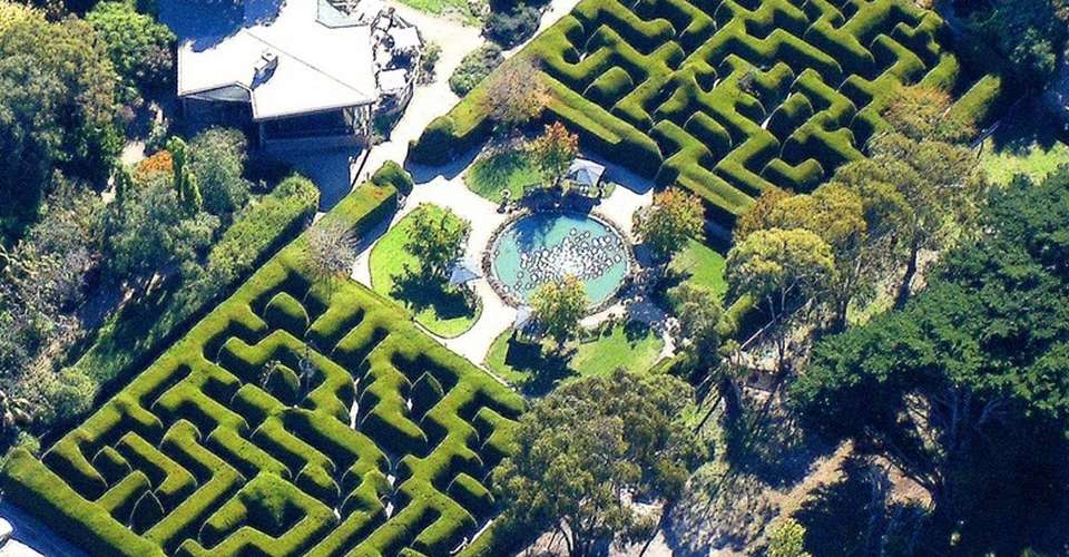 Ashcombe Maze and Lavender Garden