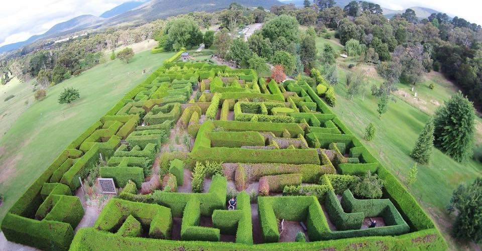 Hedgend Maze