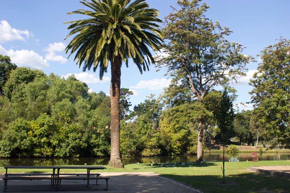 Six of the Best Picnic Spots In Melbourne | Coburg Lake Reserve