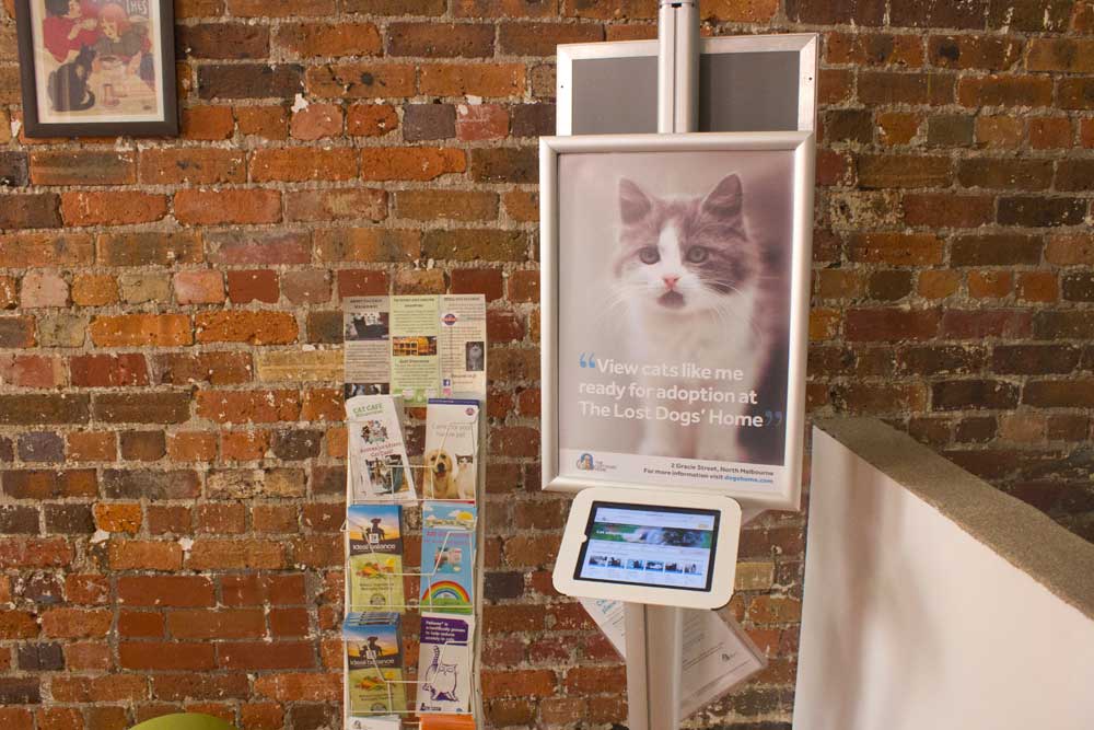 Pat a Cat on a Mat: Melbourne's Cat Cafe