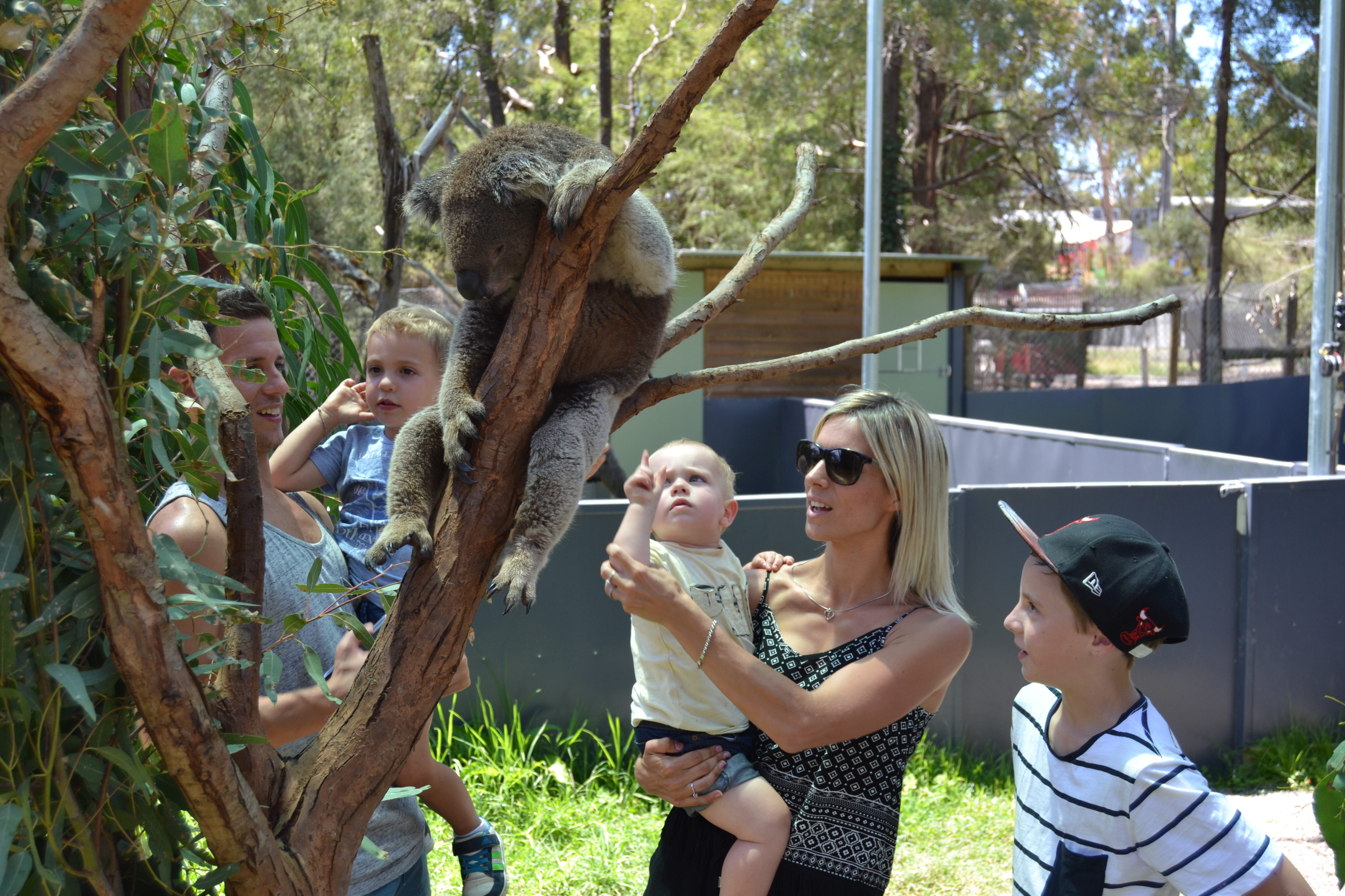 healesville-sanctuary-animals with kids