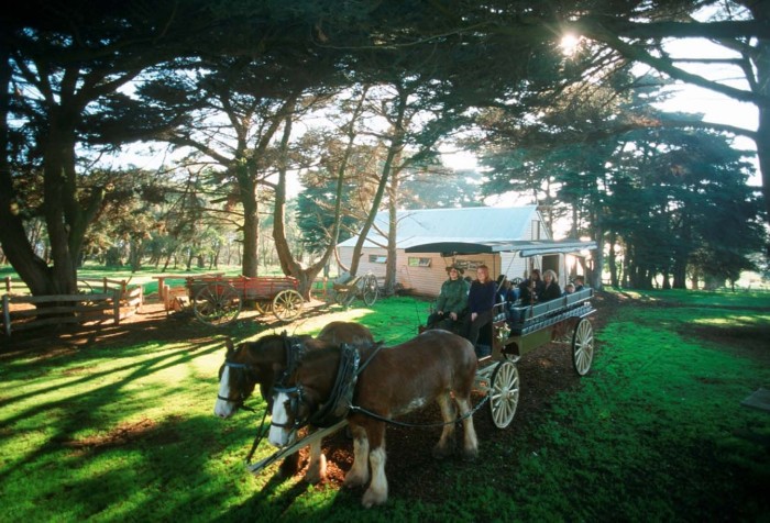 Churchill Island  Heritage Farm https://www.visitphillipisland.com/listing/churchill-island-heritage-farm/