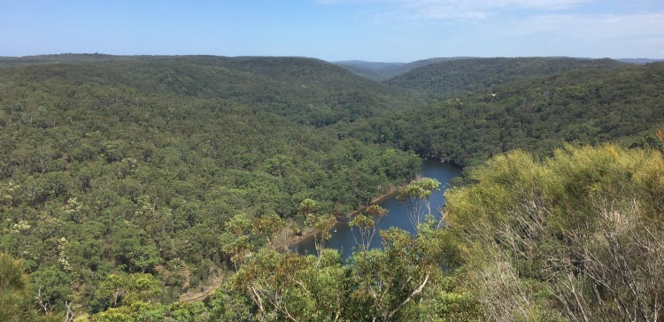 royal national park